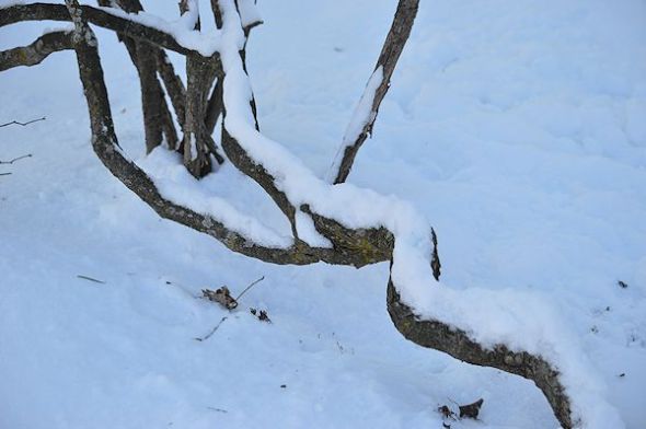 dec 30 01412-30-2012