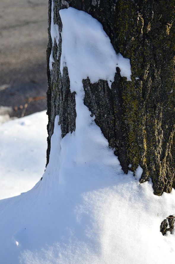 dec 30 04112-30-2012