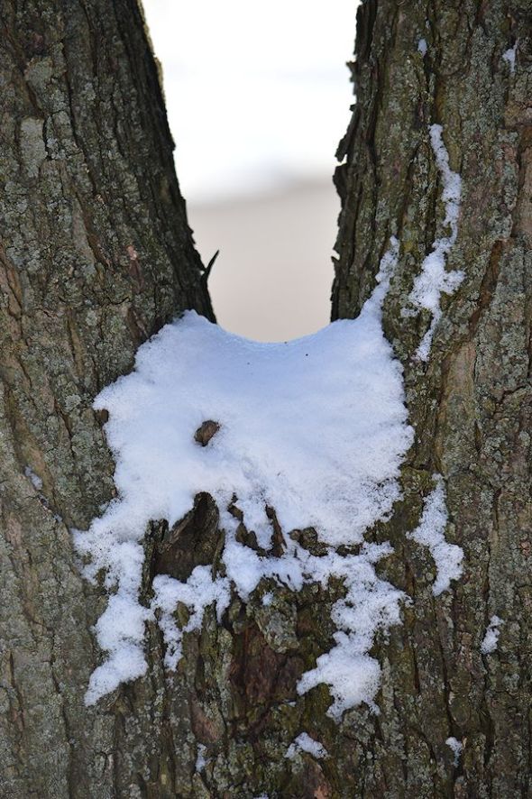 dec 30 05312-30-2012