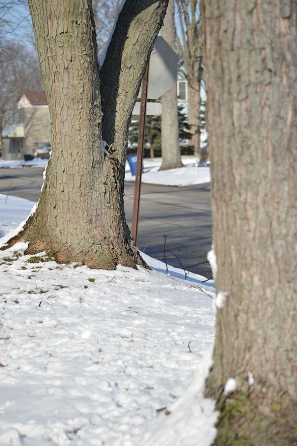 dec 30 05912-30-2012