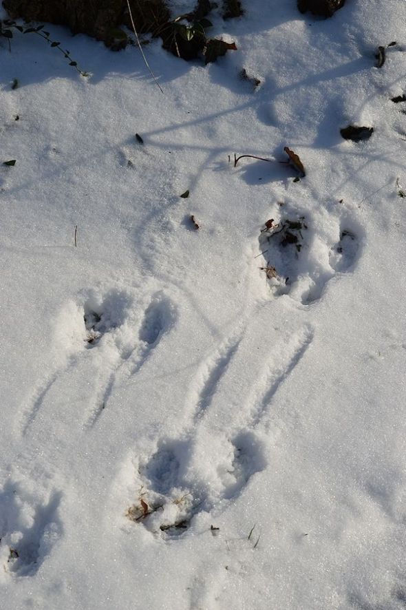 dec 30 06712-30-2012