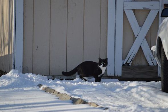 dec 30 08312-30-2012