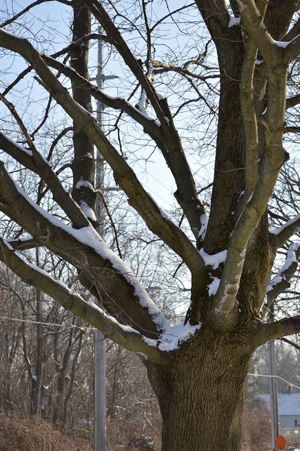 dec 30 07212-30-2012