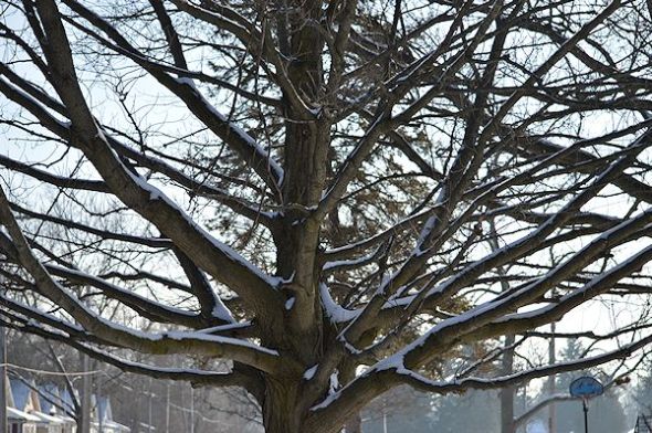 dec 30 07612-30-2012