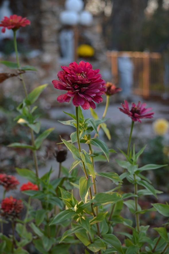 October 27 2012 14610-28-2012